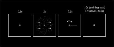 Encoding of continuous perceptual choices in human early visual cortex